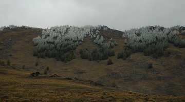 DSC_0644a.jpg