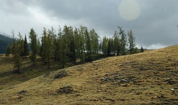 DSC_0655a.jpg