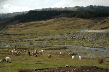 DSC_0672a.jpg