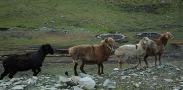 DSC_0677a.jpg