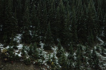 DSC_0696a.jpg