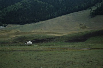 DSC_0703a.jpg