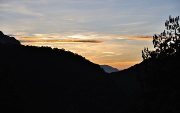 _DSC2340.jpg