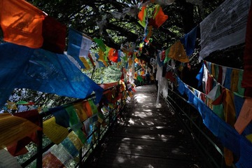 _DSC4625.jpg