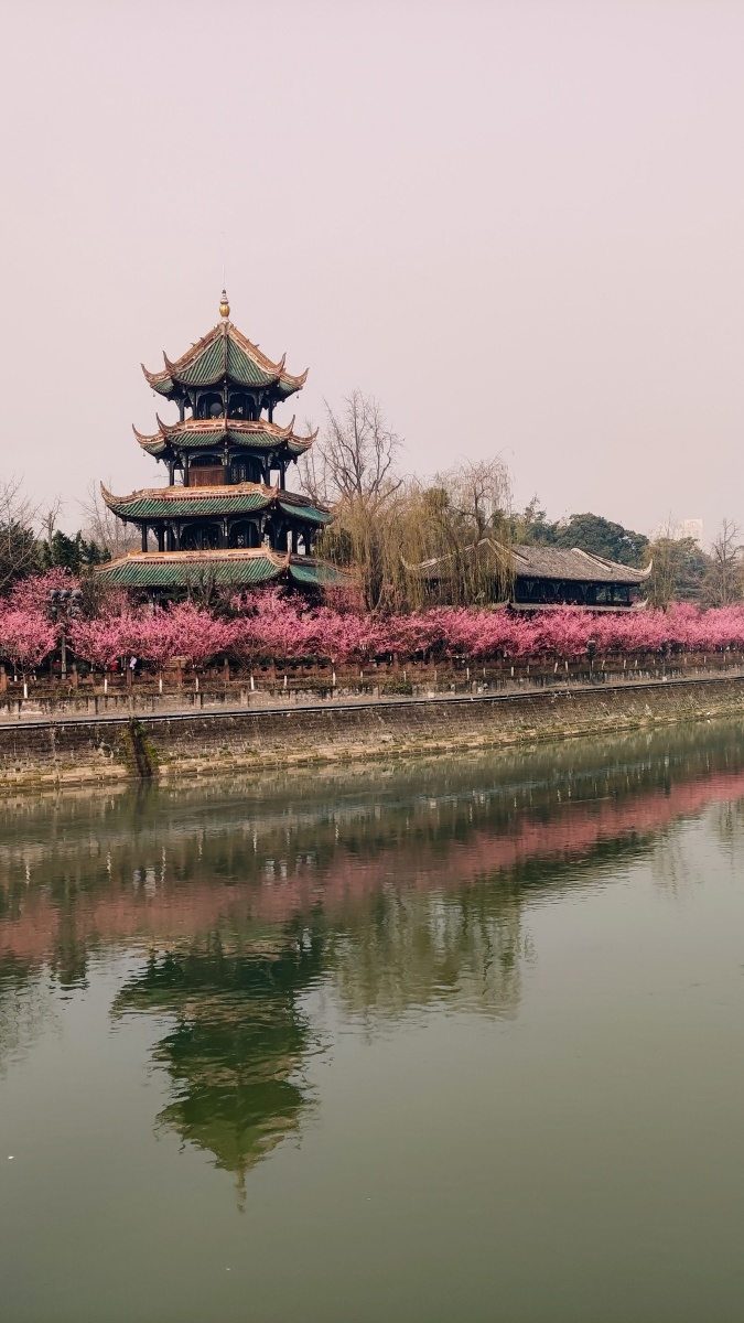 晓看红湿处花重锦官城