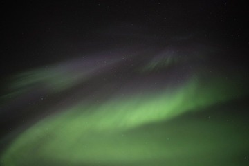 _MG_3139.JPG