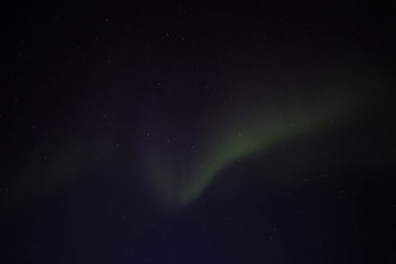 _MG_3264.JPG
