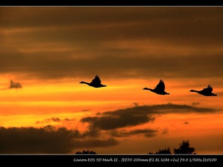 IMG_8981.jpg