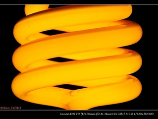 IMG_9620.jpg