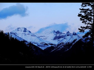 IMG_1317.jpg