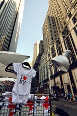 IMG_4781 2.jpg