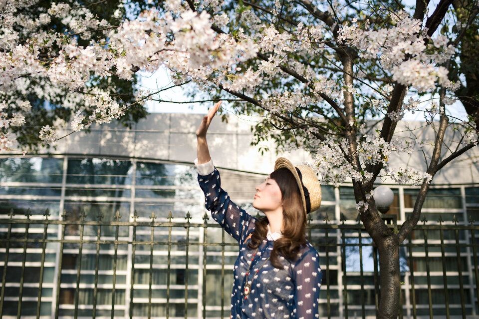 Youth passes away like sakura II<br />
实在太喜欢这句话，再用一次——在这个浮躁年代，我们不愿失败，又经不起等待，错把嗲菜当真爱