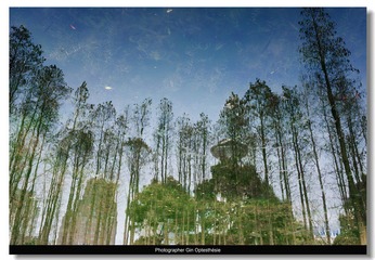 nEO_IMG_DSC_5792.jpg