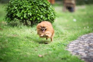 DSC_6106.jpg