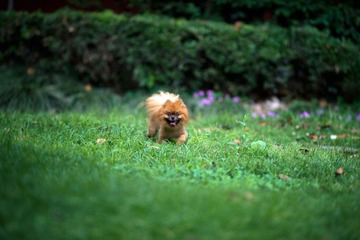 DSC_7259.jpg