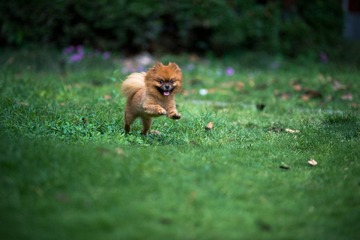 DSC_7261.jpg