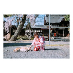 赵小姐的日常-和神社前的柴犬一起。