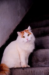 _DSC0006.jpg