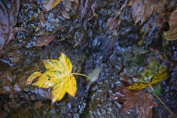 DSC04888.jpg