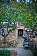 DSC04903.jpg