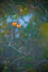 DSC04914.jpg