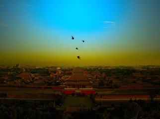 仿徽宗画，鸟少了，房子多了