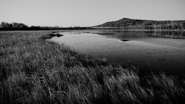IMG_5175-2