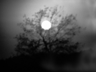 照片 278-2.jpg