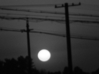 照片 297-2.jpg