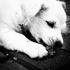 IMG_0085-1-2.jpg
