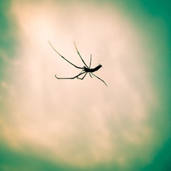 IMG_0093-1-2.jpg