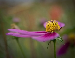 DSC_1001-1.jpg