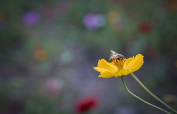 DSC_1003-1.jpg