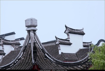 _DSC3956副本.jpg
