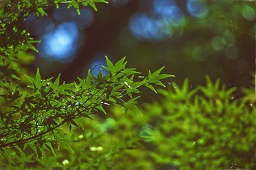 _DSC4443副本.jpg