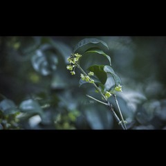 _DSC45181副本2.jpg