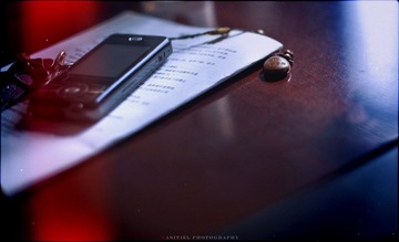 DSC_3167副本2.jpg