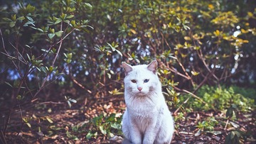 DSC_4464副本2.jpg