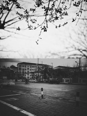 DSC_5516副本2.jpg
