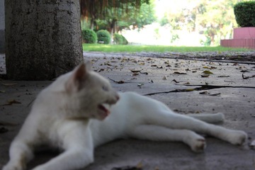 IMG_4640.JPG