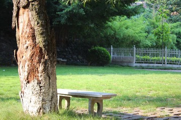 IMG_4649.jpg