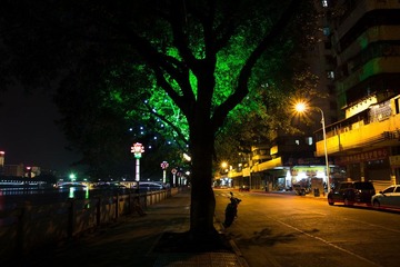 IMG_7866.jpg