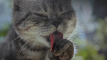 2012-02-14_01-07-13_292.jpg