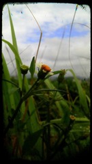 2012-07-26_09-17-31_866_萨拉_Dirt.jpg