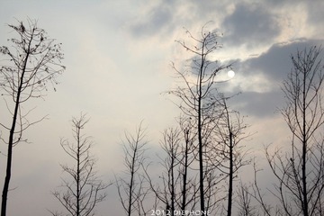 IMG_7315.JPG