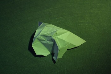 蜕变0013.JPG