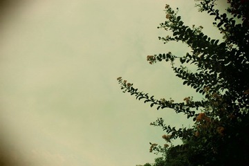 IMG_0795.jpg