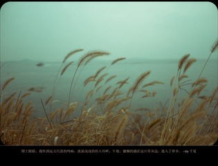 IMG_1657_副本.jpg