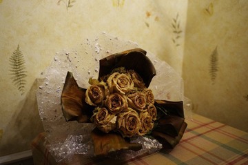 _IGP1348.JPG