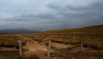 DSC_381411.jpg